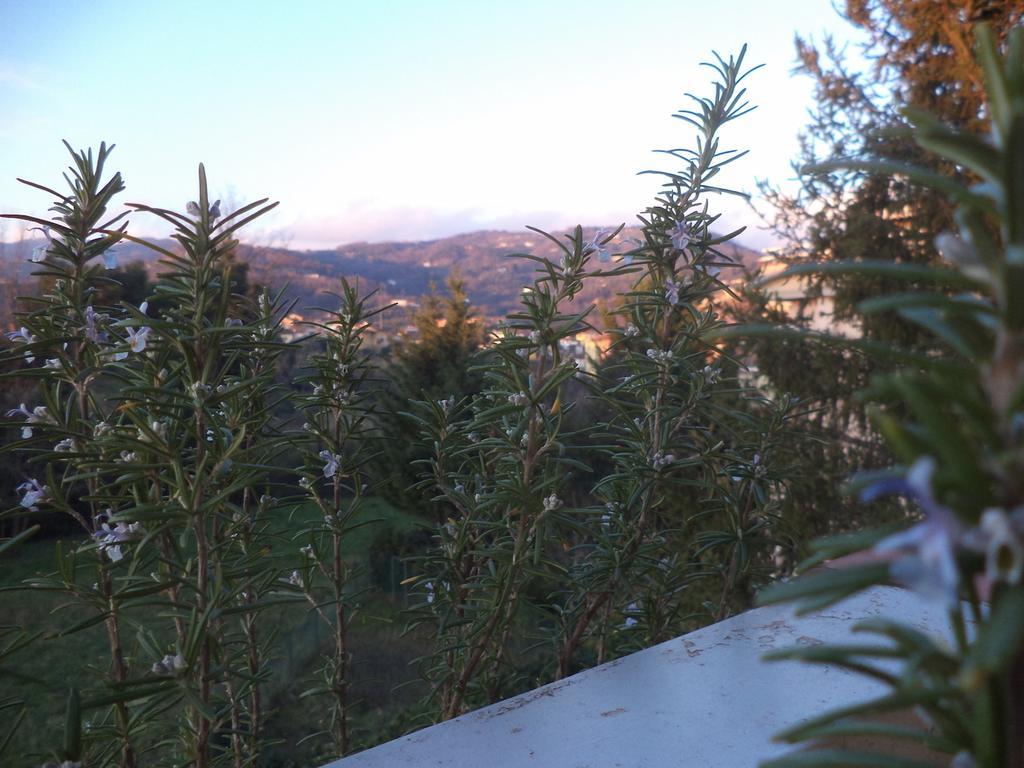 Apartment Montecatini-Terme Near Firenze, Lucca, Pisa ห้อง รูปภาพ