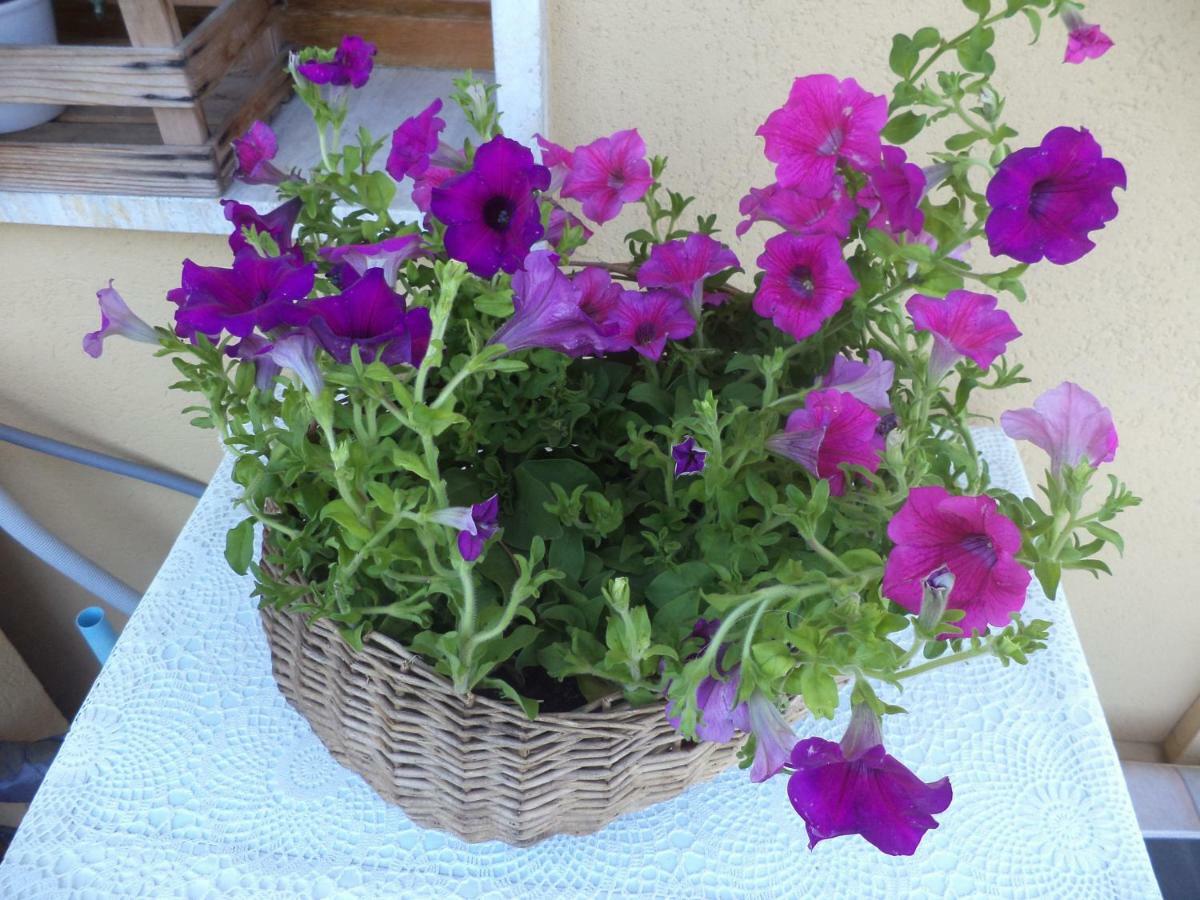 Apartment Montecatini-Terme Near Firenze, Lucca, Pisa ภายนอก รูปภาพ